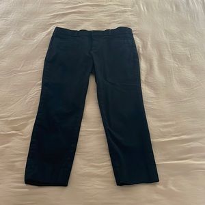 Banana Republic Sloan Crop Pants/Capris